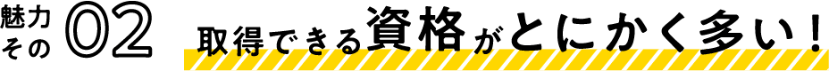 取得できる資格がとにかく多い！